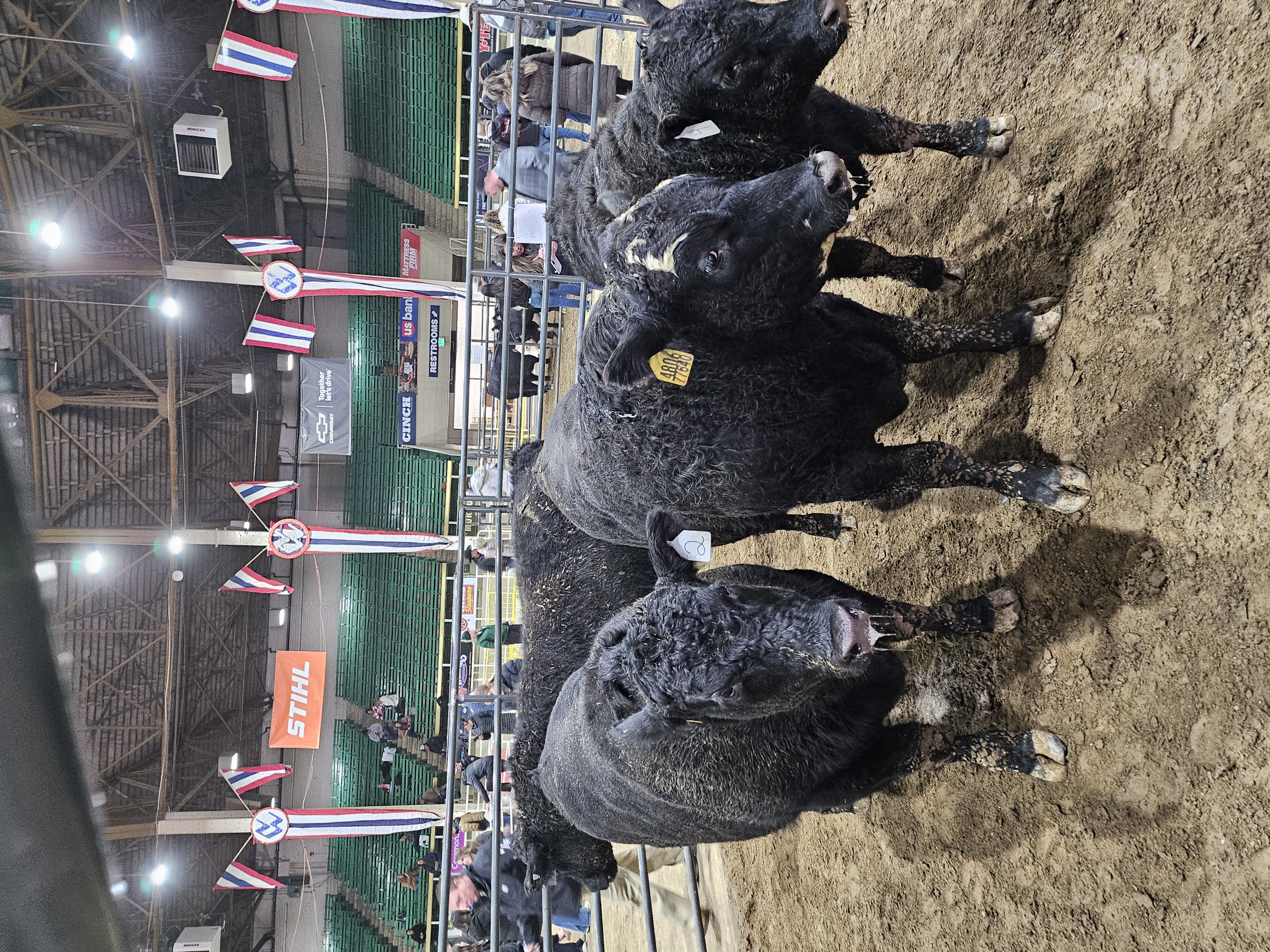 Western 4-H Roundup in Denver